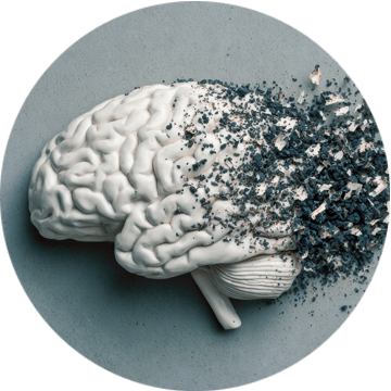 starzenie się mózgu